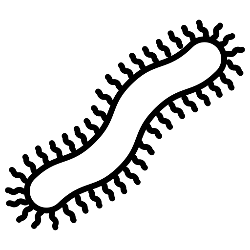 centipede